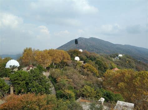 南京紫金山|紫金山 (南京市)